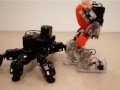Robots RoboBuilder Humanoide contra Araña