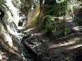 Pfeiffer Falls