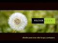 videos de PeltierDesign 2009 castellano