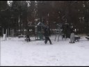 baseball bat to the head