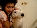 My Dogs - part 1 of 2 My Dogs - part 1 of 2