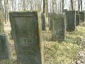 Cmentarz ?ydowski w Le?ajsku Jewish cemetery in Lezansk ohel Cmentarz ?ydowski w Le?ajsku Jewish cemetery in Lezansk ohel