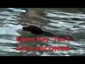 DOCKDOGS SPEED RETRIEVE | KATY TEXAS