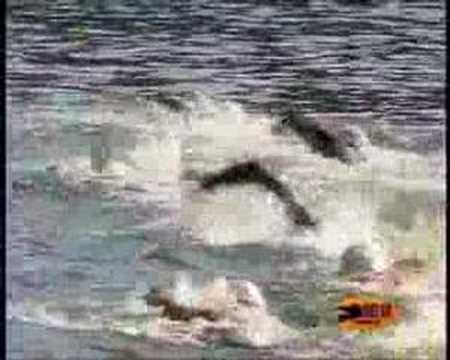 Triatlon Posadas 2006. natacion ...