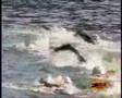 Triatlon-Posadas-200