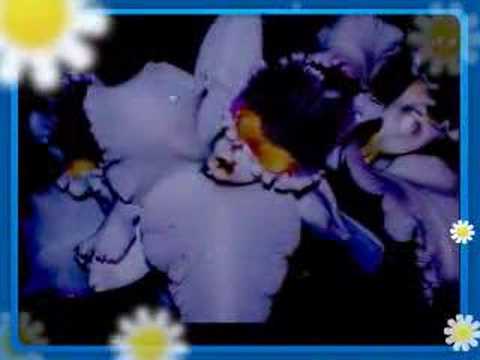0 Las flores de Funchal