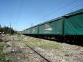LOC -1001 Y 1002