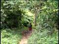 Recovering from War - Short film on the D.R. Congo