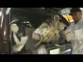 SOUND SYSTEM BASS SHREDS PHONE BOOK! - 4 18 Woofers! 30000watts!