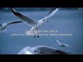 Sopla Espíritu de Dios-Walter Rumierk-Adoración Profética
