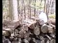 3 cans being shot