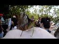 [video-image]