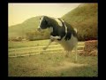 0% FAT COW 0% FAT COW