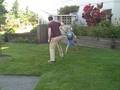 Mangy Danes & Scabrous Dogs