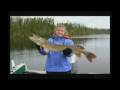 videos de Canadian Fishing Flint Wilderness Resort -Photo Gallery