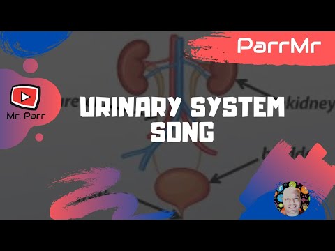 how to properly store urine
