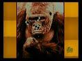 testi di aldo leonardi musiche di francesco guetta