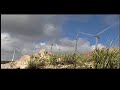 Speciale Lucio Miceli energia eolica