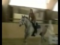 #03 - Love your horses... like this  =]