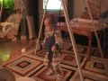 Vive le jolly-jumper!