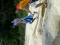videos de superman