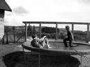 Fight sur trampoline