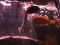 Aggressive Kenyi Attacking New Mbuna Arrival
