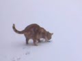 Otto - Running through the snow Otto - Running through the snow