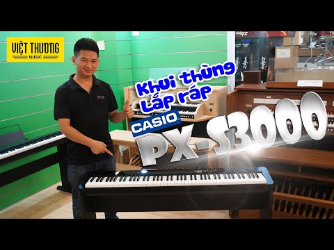 Khui thùng và lắp ráp Piano Casio PX-S3000
