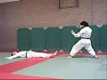 Manji-geri Manji-geri