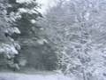 videos de The First Snow 2008 in Tallinn and a Dog