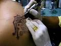 videos de Tattoo