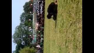 Download Video Seni Tunggal Pagar Nusa Download Video Seni Tunggal Pagar Nusa