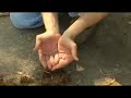 Starting a Fire With a Bow Drill Fire Starter : Starting a Fire With a Bow Drill: Placing the Tinder