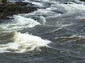 Kayaking High Tides