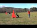 videos de Fred - Parts of his SchH 2 