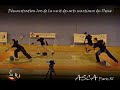 D�monstration FESTIVAM 17