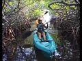 De mangrove bossen op Bonaire De mangrove bossen op Bonaire