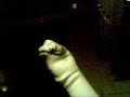 Tube Sock, Wiget