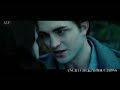 Search Video