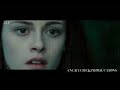 Search Video