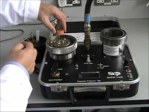 how to measure osmotic potential
