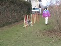 Agility - Ghosty