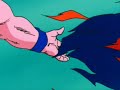 Goku`s humps got vegeta spending