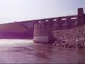 Silver Carp in Marion County Iowa Silver Carp in Marion County Iowa
