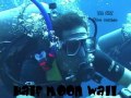 BLUE HOLE BELIZE PLONGE SCUBA DIVE DAY TRIP PART 1 BLUE HOLE BELIZE PLONGE SCUBA DIVE DAY TRIP PART 1