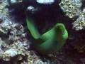 BLUE HOLE BELIZE PLONGE SCUBA DIVE DAY TRIP PART 1