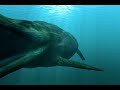 Maya 3D Mosasaur Sea Monster Animation