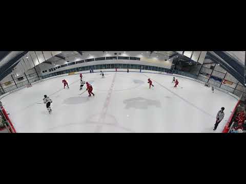D Rush/Pass play vs Barons