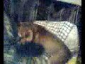 my little nigga gego